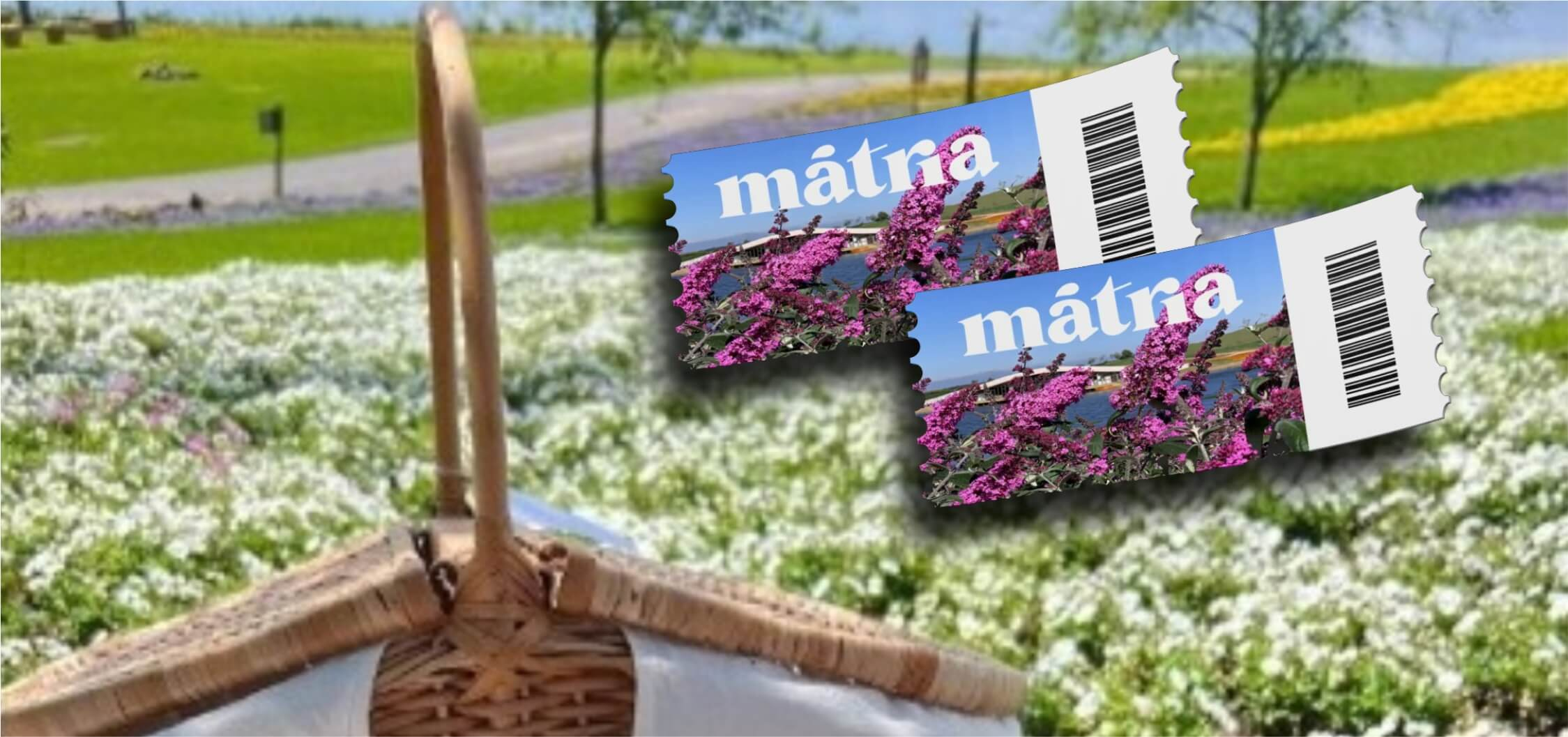 Mátria 02